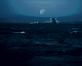 Aenean Auctor Wisi Et Urna Aliquam Erat